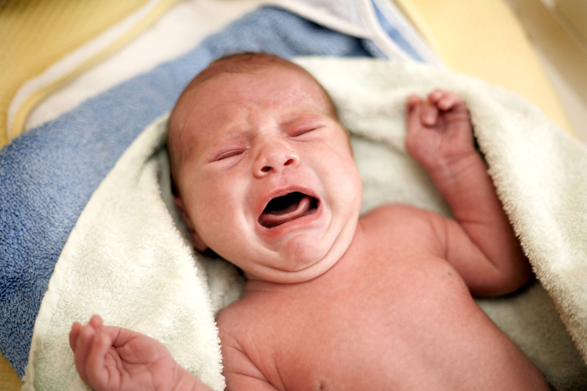 1 3 Le Traumatisme De La Naissance Bio Kinesis